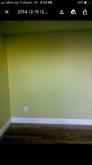 paint (2)