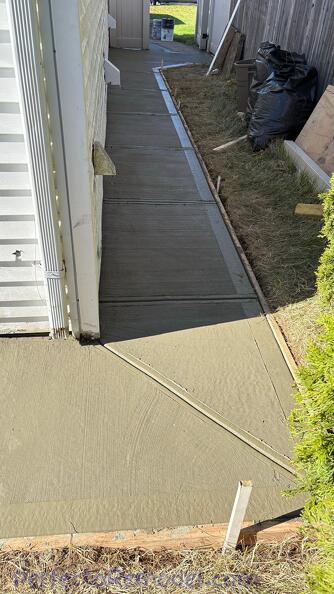 sidewalk (5).jpg