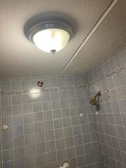 renovation (5)