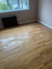 oak (2)