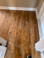 oak (12)