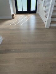 oak (22)