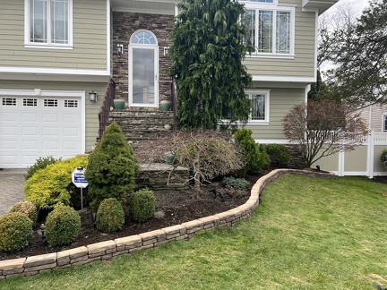 paver around plants
