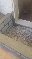 egress (1)