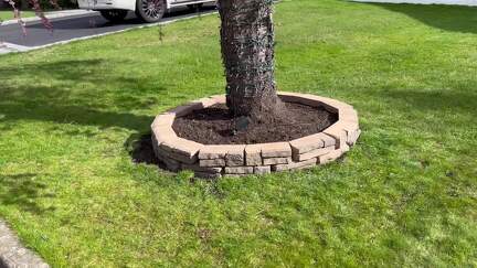 stone veneer around the tree