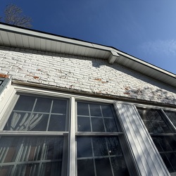 Paint Brick Siding