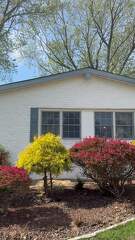 Paint Brick Siding 