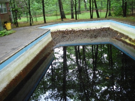 poolcleaning (15)