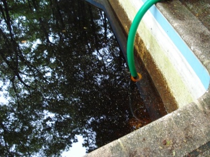 poolcleaning (16)