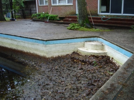 poolcleaning (26)