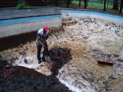 poolcleaning (28)
