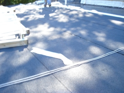 flatroof (1)