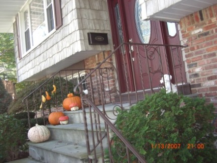 metalrailing (13)