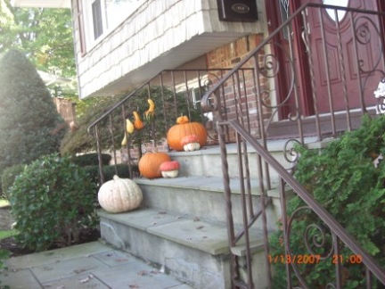 metalrailing (15)
