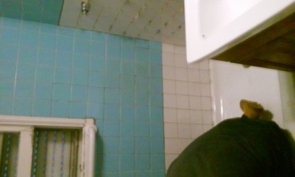 lowshowerbase (16)