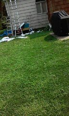2015-08-17 14.52.51