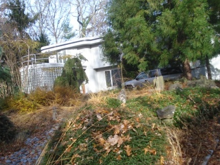 DSC07850