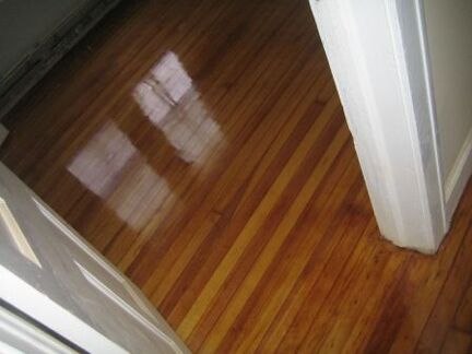 shinyfloor (1)