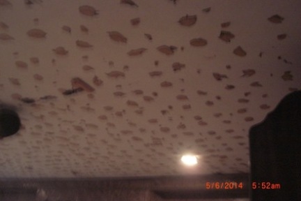 ceiling (12)
