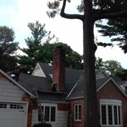 roof work