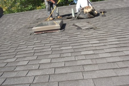 ROOF (66)