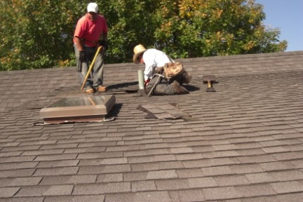 ROOF (67)