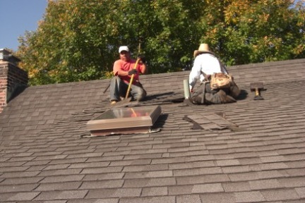 ROOF (69)