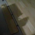 renova (24)